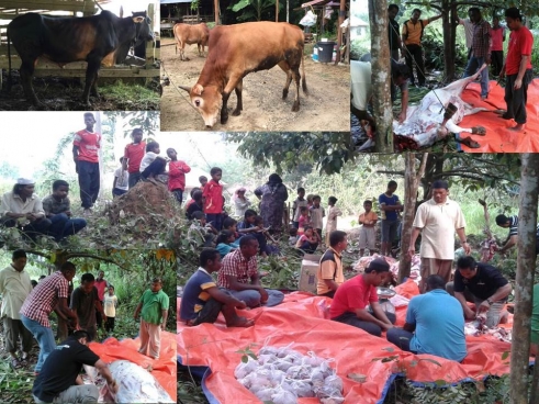 Program Qurban Bersama Korporat 1436H 2015M 20