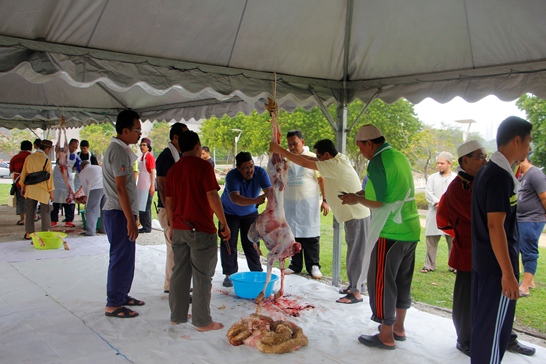 Ibadah Qurban Aqiqah di MTMZA 2